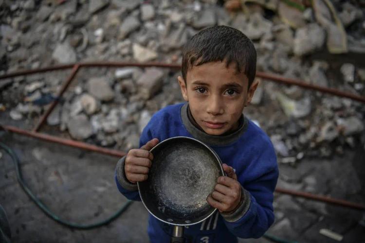 Why Donating Qurbani in Palestine is More Urgent Than Ever
