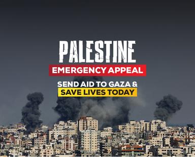 Palestine Media Kit